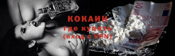 ECSTASY Елизово