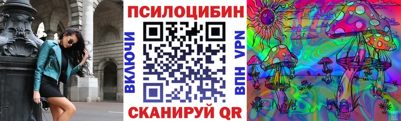 Псилоцибиновые грибы Psilocybe  Судогда 