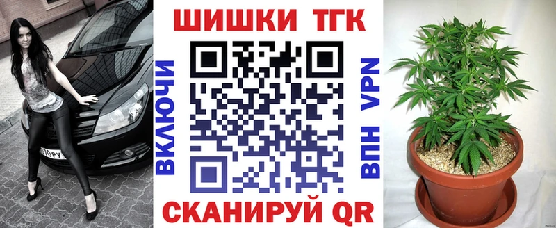 цена   Судогда  Канабис ГИДРОПОН 